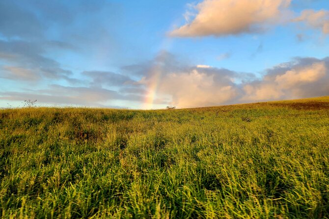 Green Sands Adventure ATV Ride - Reaching the ocean cliffs and shoreline