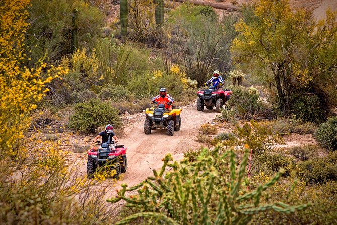 Guided Arizona Desert Tour by ATV - Centipede Tour - Quick facts worth knowing