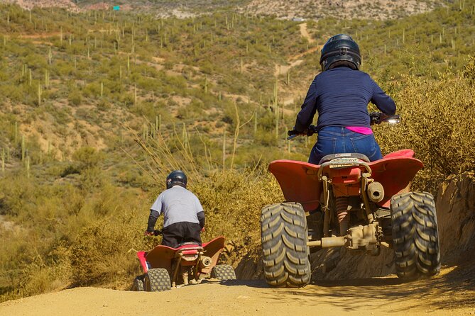 Guided Arizona Desert Tour by ATV - Centipede Tour - The Agua Fria River and desert scenery