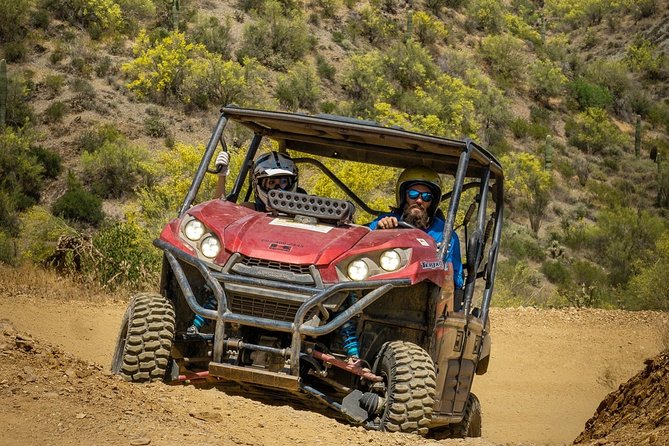 Guided Arizona Desert Tour by UTV - Centipede Tour - Wildlife, saguaros, and the chance of a wild burro