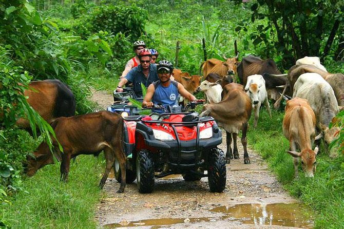 Half-Day Adventure 4x4 ATV, Water Cave and Dominican Culture - The organic farm tasting: coffee, chocolate, and rum