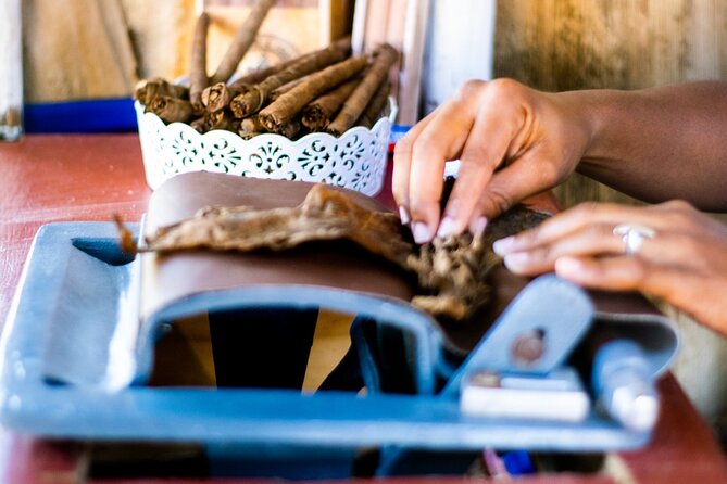 Half-Day Buggy Guided Adventure for Amber Cove and Taino Bay - Coffee, cocoa, cigars, and Mamajuana
