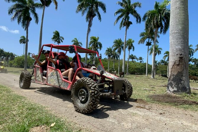Half-Day Buggy Guided Adventure for Amber Cove and Taino Bay - Mud pits, river water, and the big splash