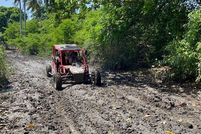 Half-Day Buggy Guided Adventure for Amber Cove and Taino Bay - Is $124 a good value?