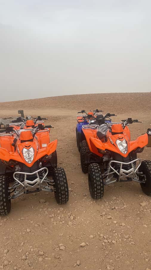 Half day Quad biking at Agafay Desert - Key points to know before booking
