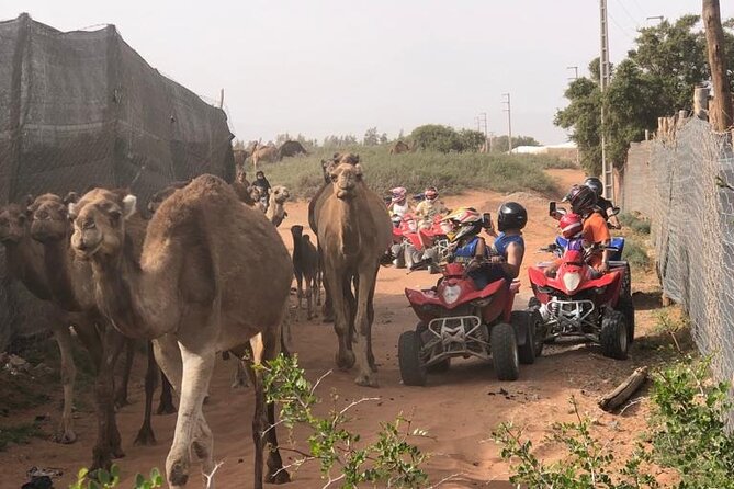 Half Day Quad in Agadir - Through Argan Forest and Berber Villages