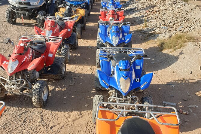 Half-day QUAD In Agadir + pick-up included from Agadir - The Berber mint-tea stop