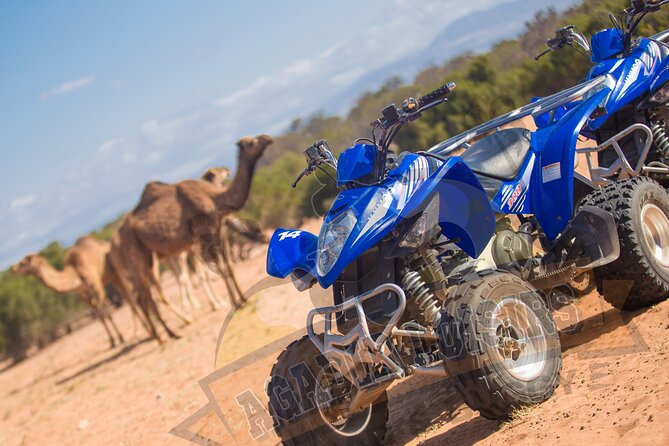 Half-day QUAD In Agadir + pick-up included from Agadir - Who should book this Agadir quad ride?