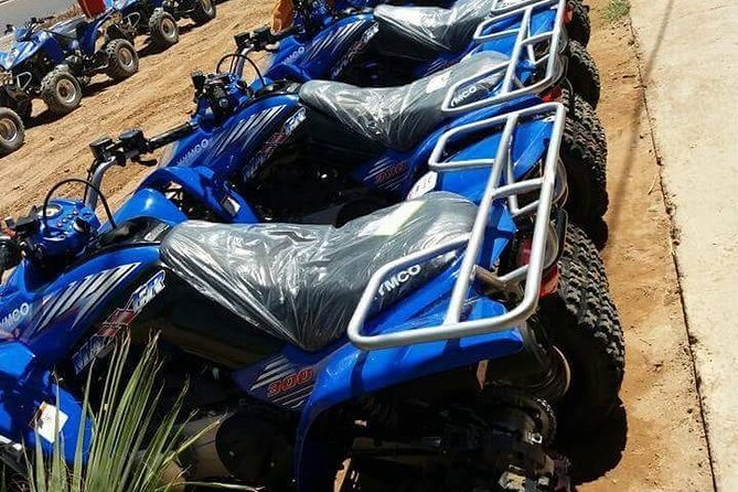 Half-day QUAD In Agadir + pick-up included from Agadir - Riding through argan trees and Berber farmland