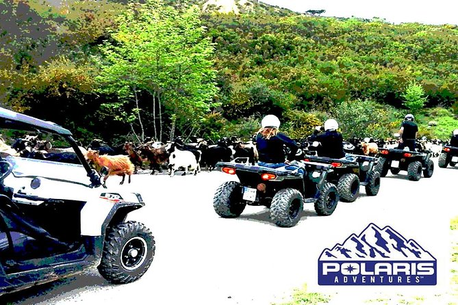 Half-Day Rethymno Quad Safari - Safety, Skill Level, and Guide Quality