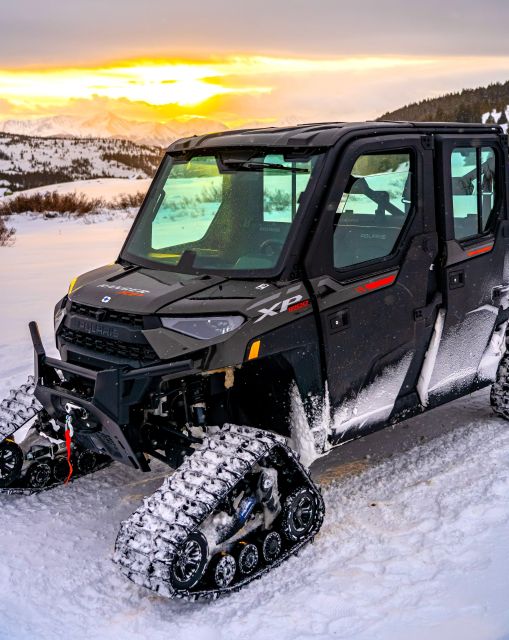 Hatcher Pass: Heated & Enclosed ATV Tours - Open All Year! - Wildlife watching without false promises
