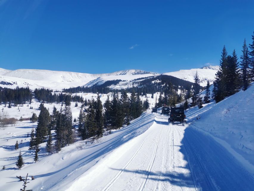 Hatcher Pass: Heated & Enclosed ATV Tours - Open All Year! - Getting to the Hatcher Pass meeting point