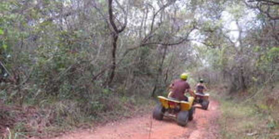 Hazyview : 30 minutes Quad Ride - Practical Tips for a Smoother Ride