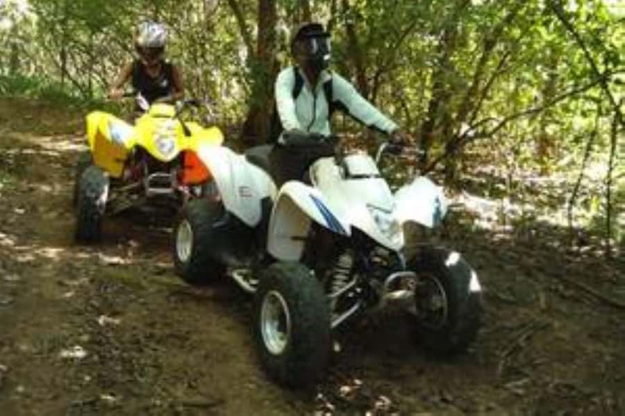 Hazyview: Guided Macadamia Plantation and Forest Quad Safari - Key Points Before You Book