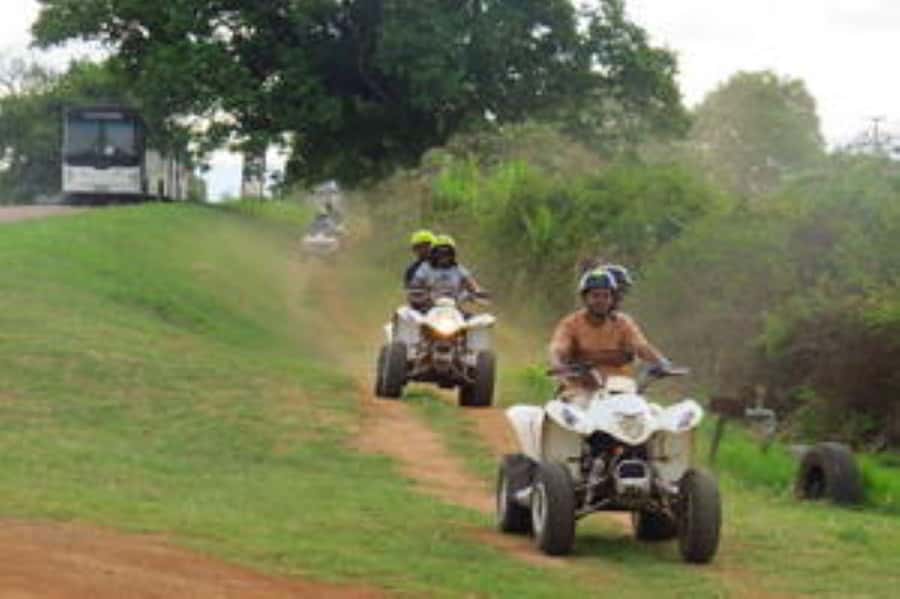 Hazyview: Guided Macadamia Plantation and Forest Quad Safari - Starting at Extreme Adventure Camp in Hazyview