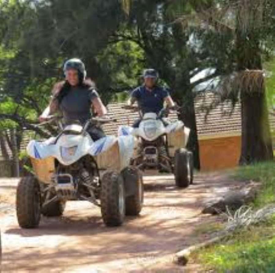 Hazyview: Guided Macadamia Plantation and Forest Quad Safari - Through the Macadamia Plantation