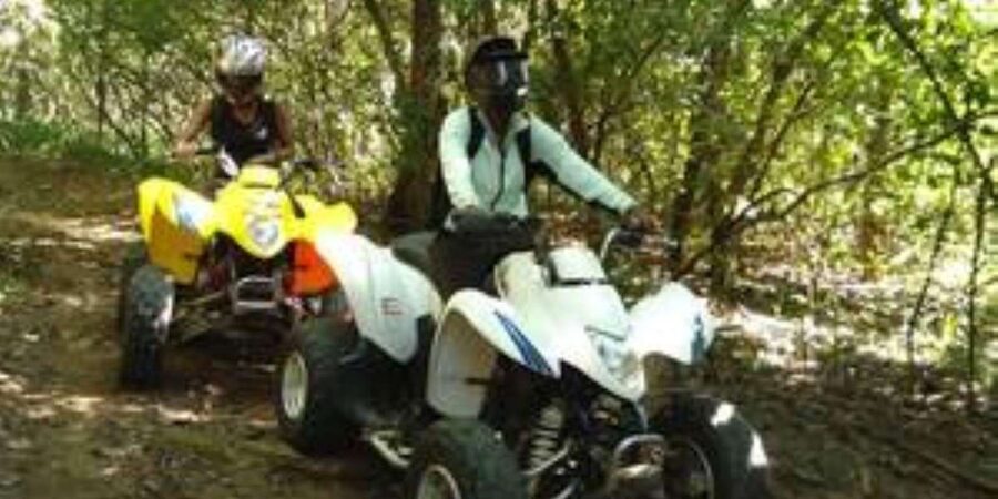 Hazyview: Guided Macadamia Plantation and Forest Quad Safari - Is $48 Good Value?