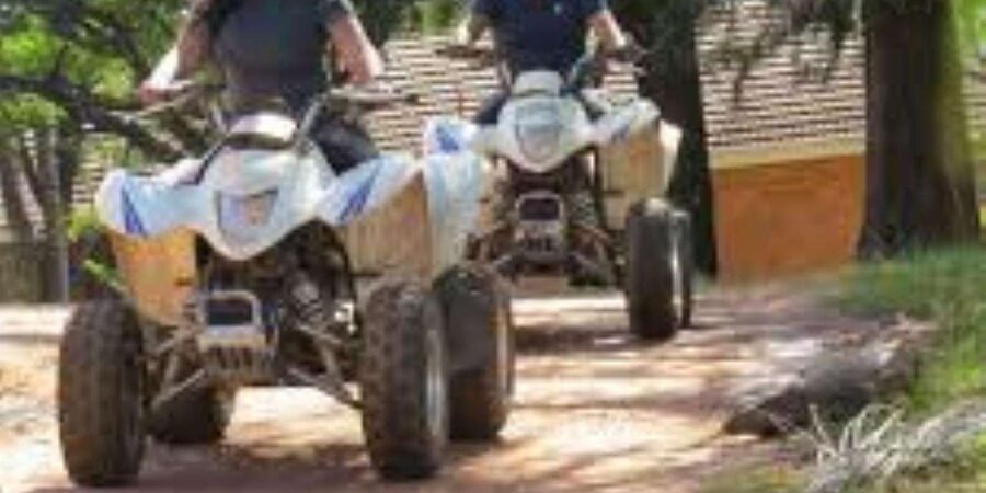 Hazyview: Guided Macadamia Plantation and Forest Quad Safari - Weather, Delays, and the Realistic Downside
