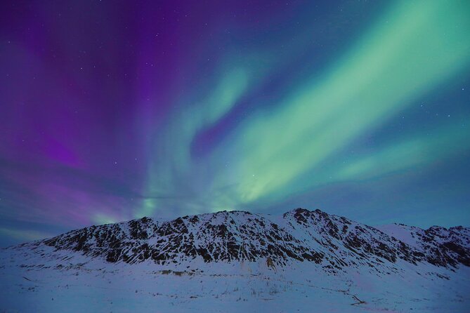 Heated and Enclosed ATV Tour in Alaska. Open All Year Round - The Talkeetna Mountains and Hatcher Pass views