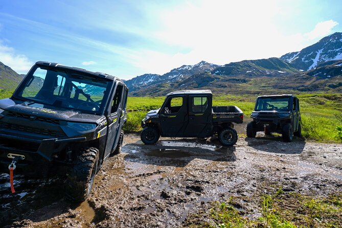Heated and Enclosed ATV Tour in Alaska. Open All Year Round - Wildlife without a promise of sightings