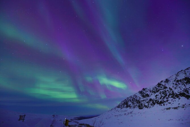 Heated and Enclosed ATV Tour in Alaska. Open All Year Round - Is $365 a fair price?