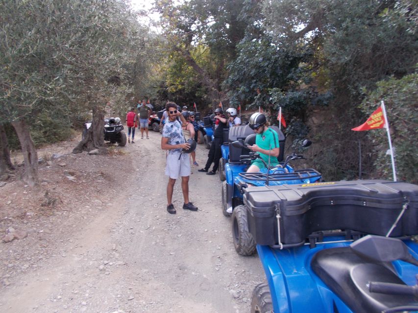 Hersonisos - Malia :off-road quad safari with transfer+Lunch - Vassilakis Estate and the taste of Cretan olive oil