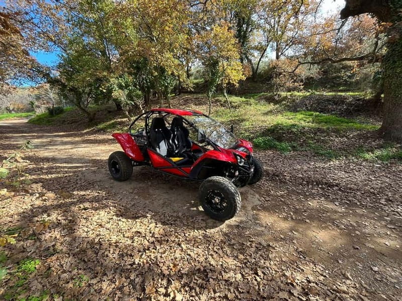 Hersonissos: Buggy Adventure Tour - The canyon finish brings back the speed