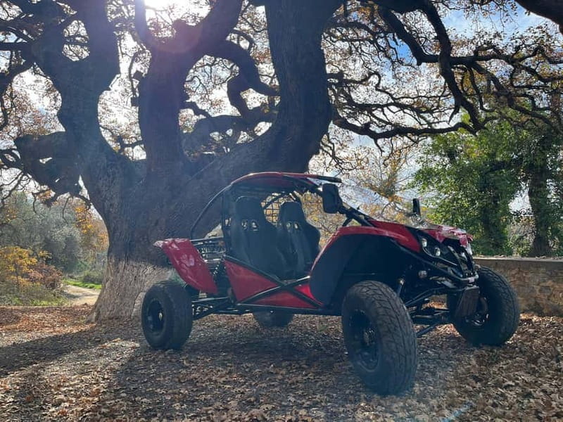 Hersonissos: Buggy Adventure Tour - Who should book this buggy safari