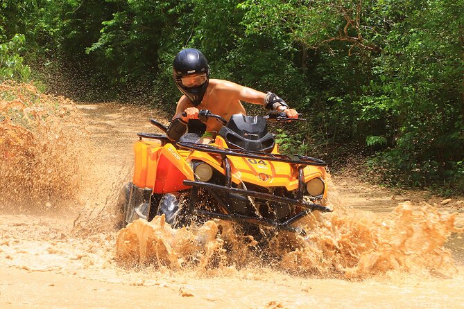 Hidden Cenote Swim & ATV Jungle Adventure with Transportation - The Big Picture: An Action Tour With a Short Clock