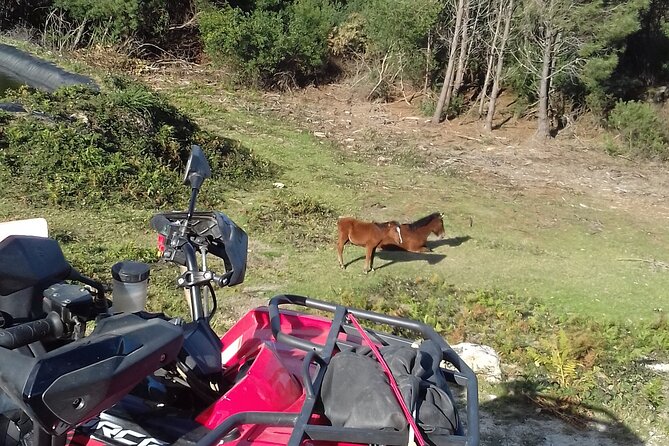 hike quad mountain altitude 825m / hike atv mountain altitude 825m - Riding a quad to 825 meters