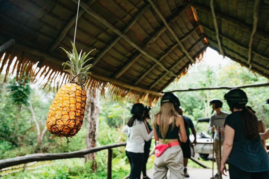 Holualoa: Polynesian Culture ATV Tour - The ride back opens onto Kona views