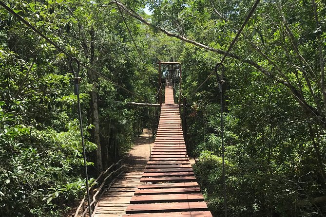 Horseback riding and ATV in the jungle, Ziplines, Cenote & Lunch - How the guides shape the day