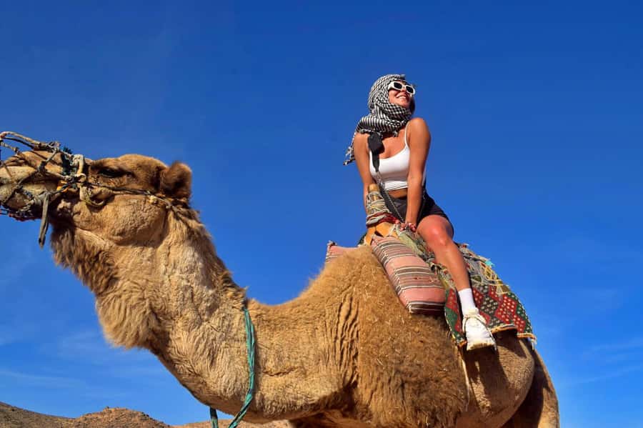 Hurghada: Desert Quad, Bedouin Village, and Camel Ride Tour - Forty kilometres between desert and mountains