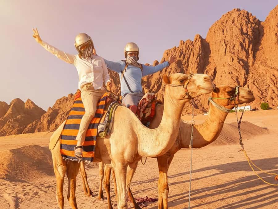 Hurghada: Full-Day Quad & Camel Ride, Stargazing, & Dinner - Key points to know before booking