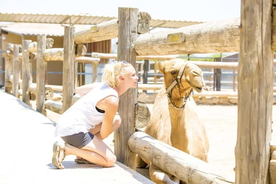Hurghada: Mega Jeep safari, ATV & Bedouin vibe, and Dinner - Quad biking across the golden sand