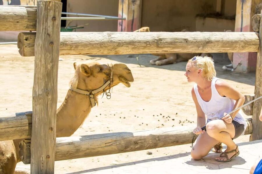 Hurghada: Mega Jeep safari, ATV & Bedouin vibe, and Dinner - Is $34 good value for this package?