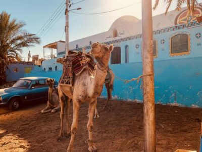 Hurghada: Morning Quad Bike Tour, Camel Ride and Transfer