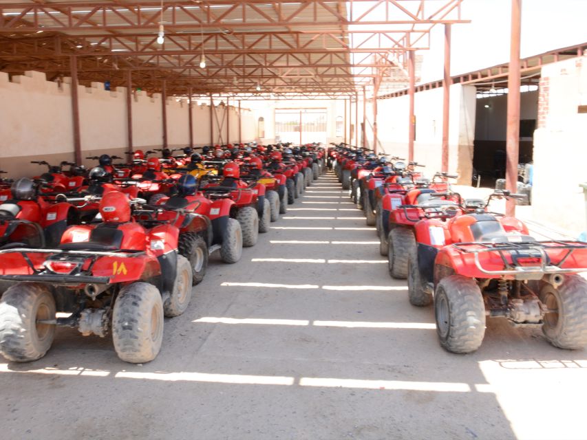 Hurghada Quad & ATV Ride with Camel, Desert Vibes & Sea View - The special quad and horse combination