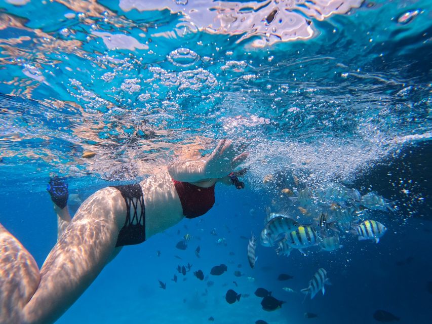 Hurghada: Safari ATV Quad & Speedboat to Orange bay island - Key points to know before booking