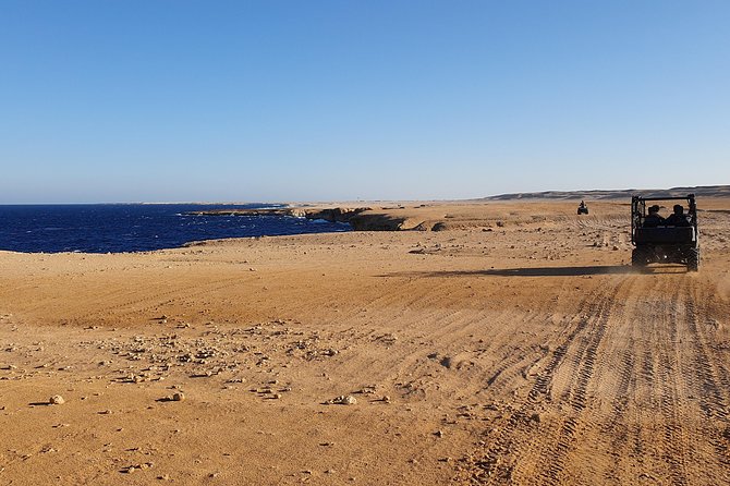 Hurghada: Sea and Mountains ATV Quad Bike Tour - Who will enjoy this outing most