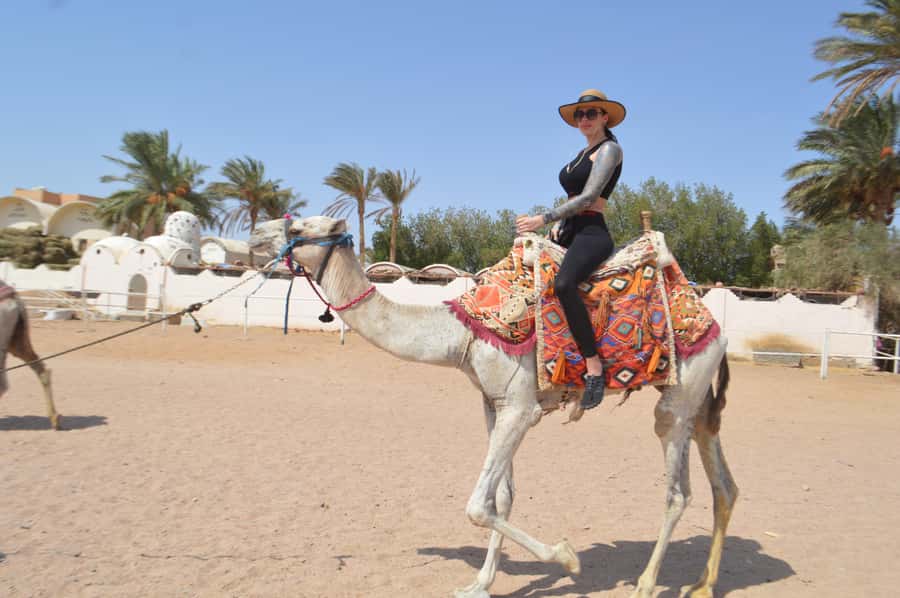 Hurghada: Sunrise Quad Bike, Camel and Oriental Breakfast - Breakfast after the ride