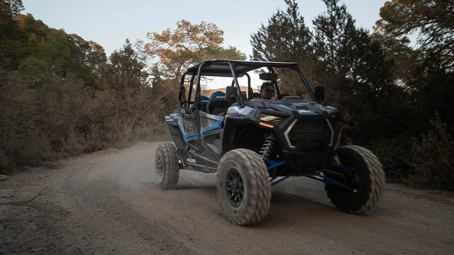 Ibiza: Guided Buggy Tour with Beach Stops - What is included for $141