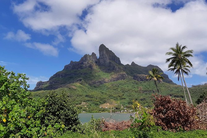 Island Tour & Getaway on the Bora Bora Mountains by Quad / ATV - Starting in Vaitape and learning the quad