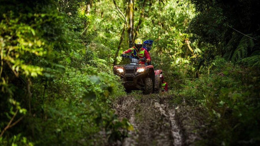 Istanbul: Belgrad Forest ATV Tour with Ziplining Option - Key points before you book
