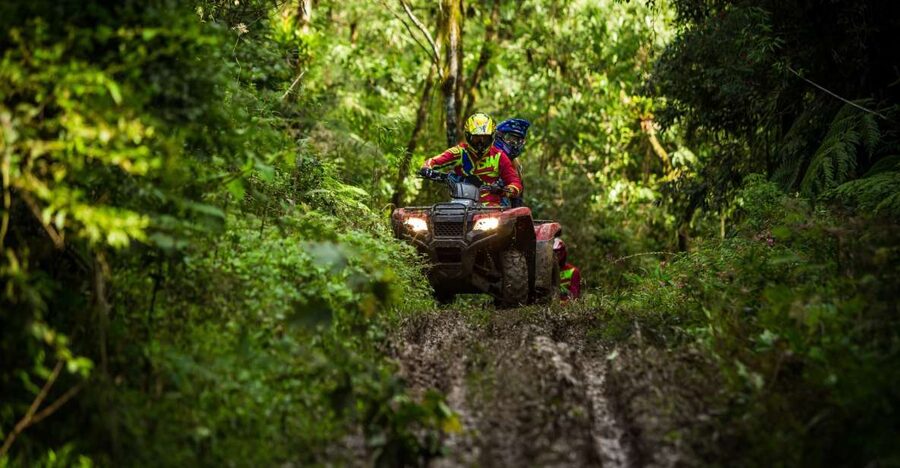 Istanbul: Belgrad Forest ATV Tour with Ziplining Option - Leaving Istanbul for Belgrad Forest