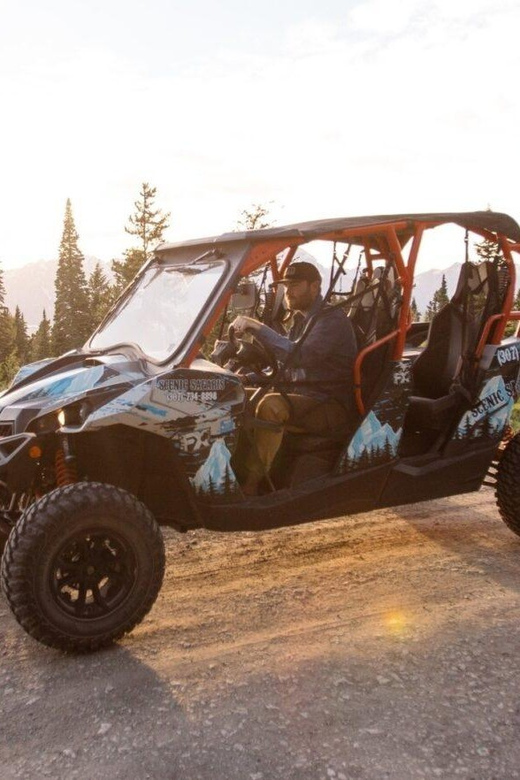 Jackson Hole: Togwotee Mountain Lodge UTV Rental - Wildlife, flowers, and the limits of what you may see