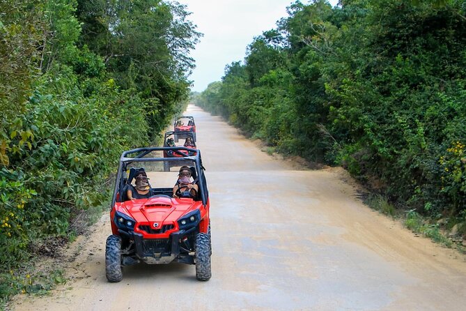 Jungle Buggy Tour from Playa del Carmen Including Cenote Swim - What the three-hour jungle buggy tour is really like
