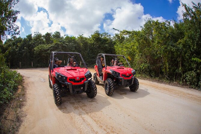 Jungle Buggy Tour from Playa del Carmen Including Cenote Swim - Taking turns behind the wheel