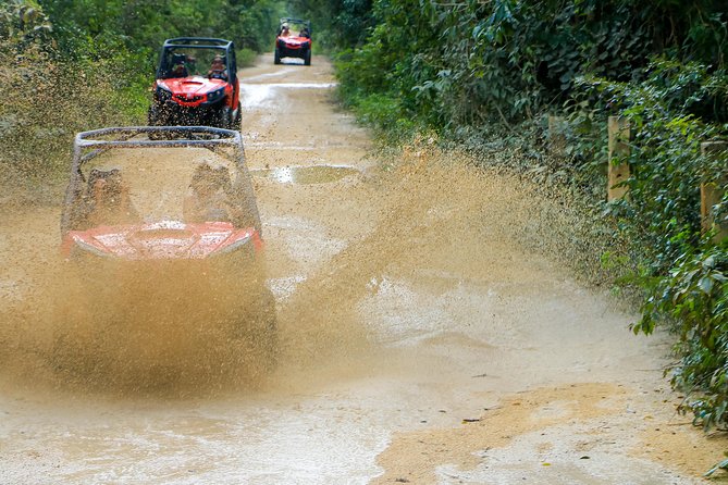 Jungle Buggy Tour from Playa del Carmen Including Cenote Swim - The cenote cave is the highlight