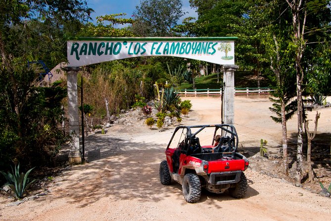 Jungle Buggy Tour from Playa del Carmen Including Cenote Swim - Fernando, Rigo, and the guide style